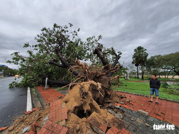 Gió bão tốc mái hàng loạt trường học, nhà dân ở Huế - Ảnh 10.