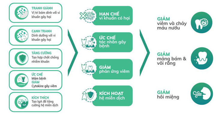 Men vi sinh nha khoa - giải pháp mới cho bệnh viêm nha chu - Ảnh 2.