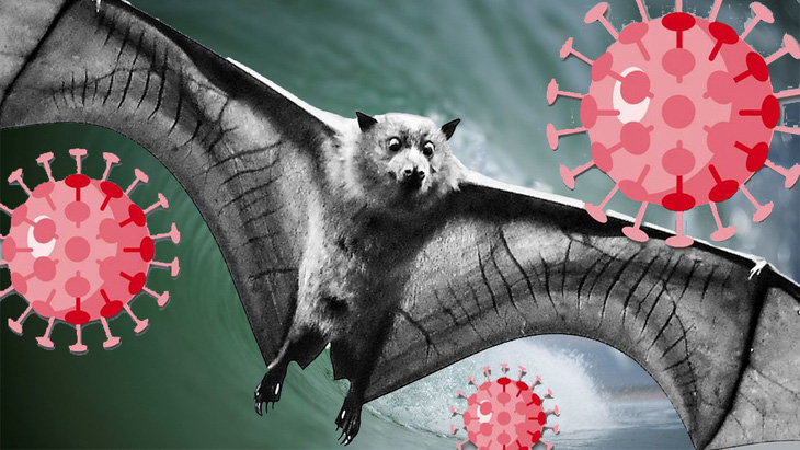 Nguy cơ đại dịch từ 850.000 virus lạ trên động vật - Ảnh 1.