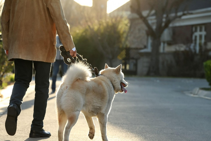 Tranh cãi quanh luật cấm dắt chó ra đường ở Trung Quốc - Ảnh 1.