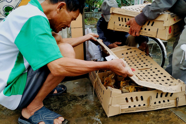 Vượt ngàn cây số mang gà, vịt, lợn giống về tặng dân vùng lũ - Ảnh 1.