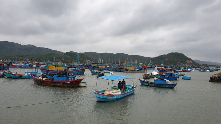 Phú Yên, Khánh Hòa sơ tán hàng ngàn dân tránh bão số 12 - Ảnh 2.