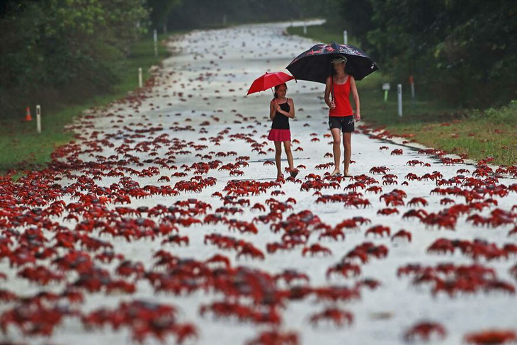 Ngắm thiên nhiên hoang dã, tự vấn con người đang làm gì thiên nhiên? - Ảnh 3.