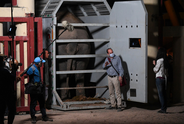 Chú voi cô đơn nhất thế giới đến nhà mới ở Campuchia - Ảnh 1.