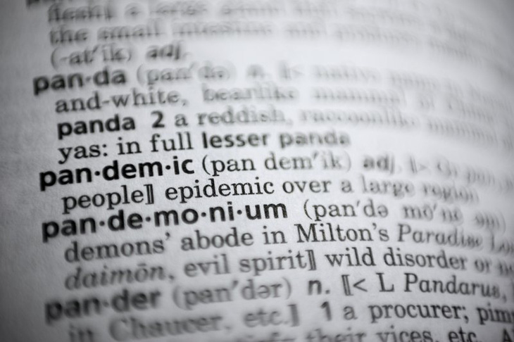 Từ điển Merriam-Webster chọn ‘đại dịch’ là từ của năm 2020 - Ảnh 1.