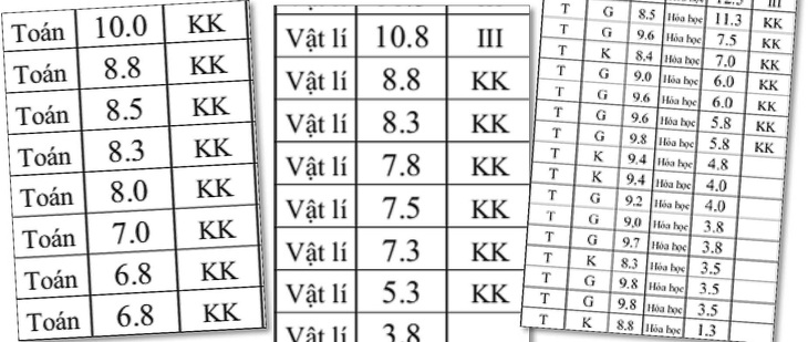 Điểm dưới trung bình vẫn đoạt giải khuyến khích thi học sinh giỏi - Ảnh 1.