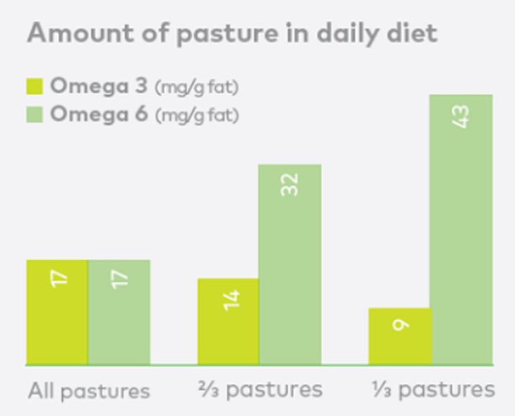 Sữa nhập khẩu: Sữa Úc & New Zealand được người Việt ưa chuộng - Ảnh 2.
