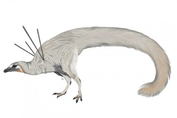Phát hiện khủng long có tóc và ruy băng - Ảnh 1.