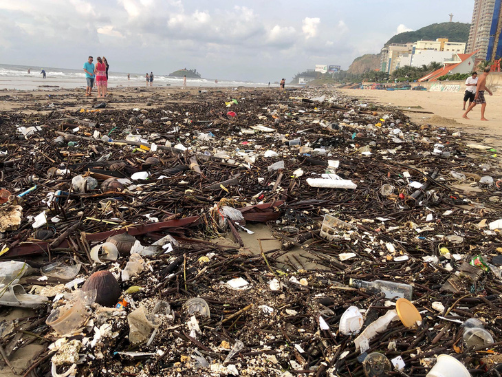 Tham tán, chuyên gia nước ngoài muốn giúp Vũng Tàu không rác thải nhựa - Ảnh 2.