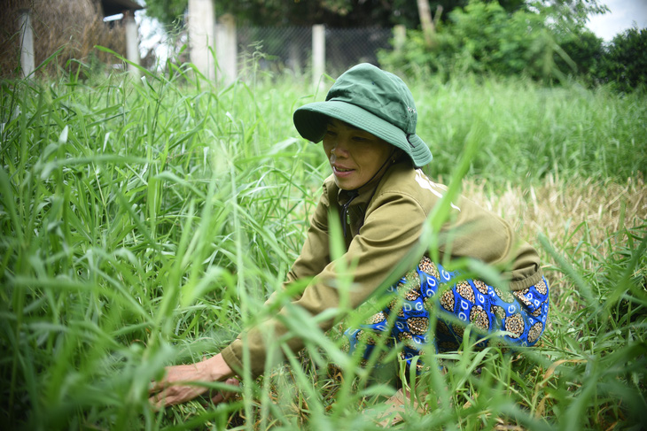 Báo Tuổi Trẻ cùng GreenFeed trao 920 triệu đồng vốn cho nông dân Bình Định - Ảnh 1.