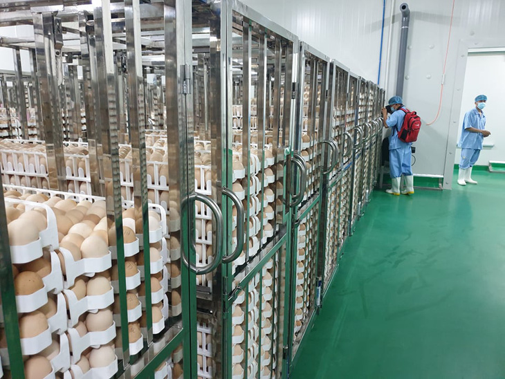 Việt Nam có nhà máy chế biến thịt gà xuất khẩu lớn nhất Đông Nam Á - Ảnh 1.