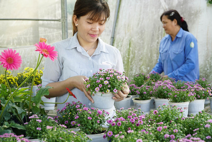 Né COVID-19, hoa tết năm nay có gì, giá ra sao? - Ảnh 4.