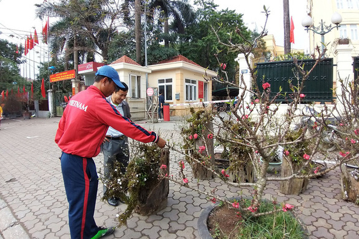 Thú chơi tận diệt núi rừng - Ảnh 1.