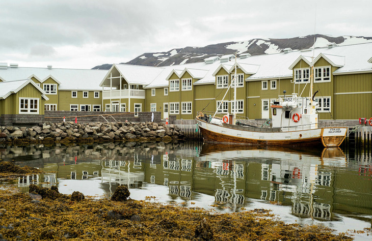 Iceland - Quốc gia chỉ có một con muỗi - Ảnh 1.