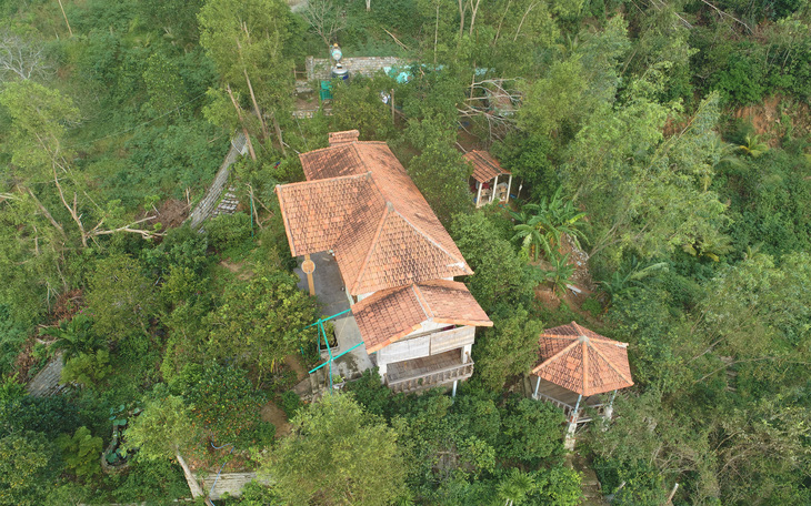 Phạt tiền nguyên chủ tịch Ủy ban MTTQ tỉnh Bình Định vì xây nhà trái phép trên đất rừng