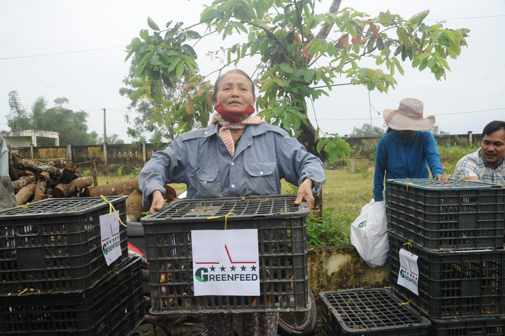 Trao sinh kế giúp người dân Quảng Nam vượt qua khó khăn sau bão lũ - Ảnh 5.