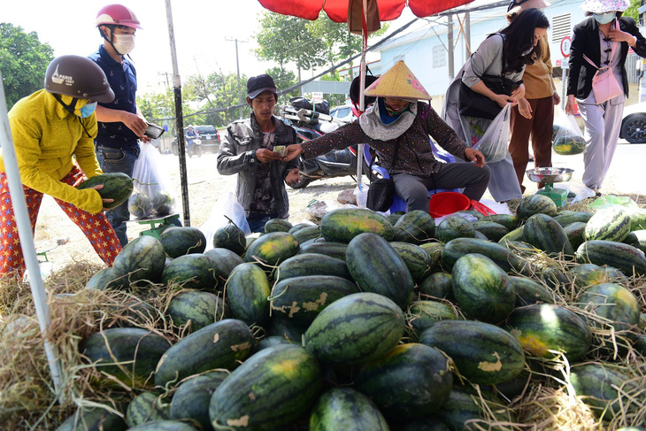 Lượng thanh long, dưa hấu bán tại các siêu thị tăng 3-10 lần - Ảnh 1.