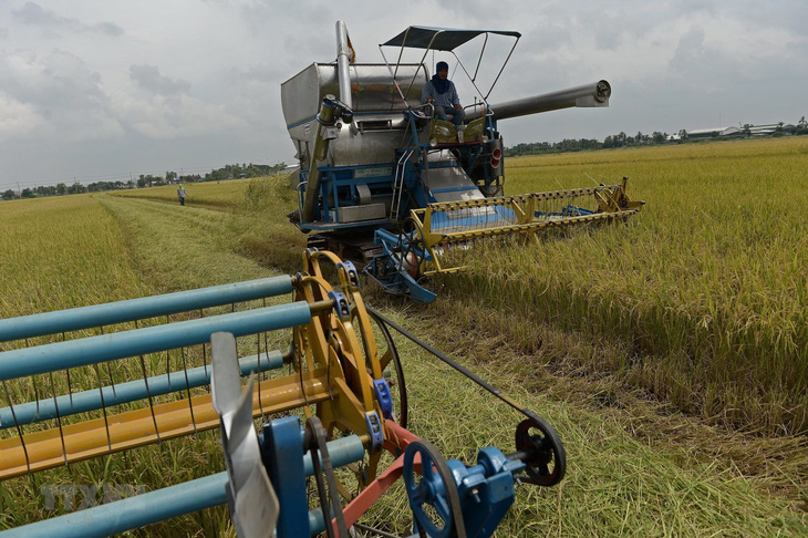 Thái Lan có thể mất ngôi nước xuất khẩu gạo lớn thứ 2 thế giới - Ảnh 1.