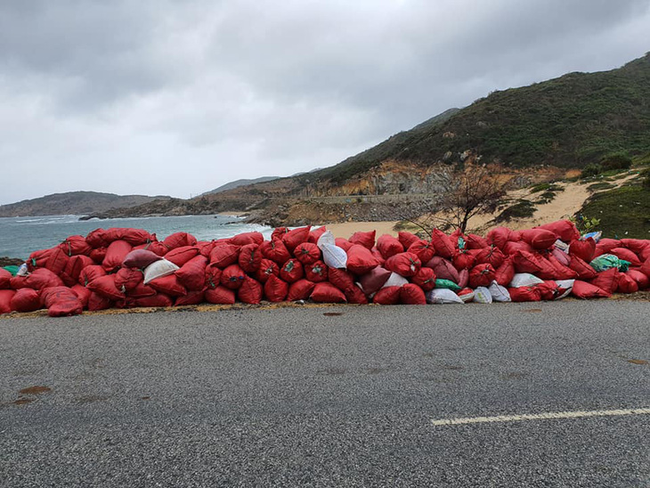 Hàng chục tấn rác biển gom xong không có xe chở - Ảnh 6.