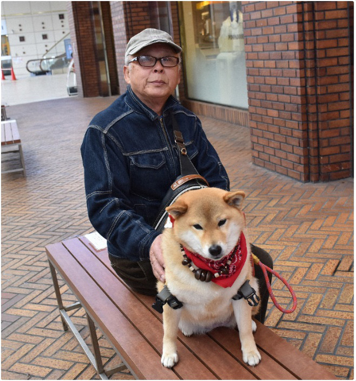 Chó Rin - giống Shiba Inu - kiên nhẫn ngồi chờ chủ ‘đốn tim’ khách qua đường - Ảnh 1.