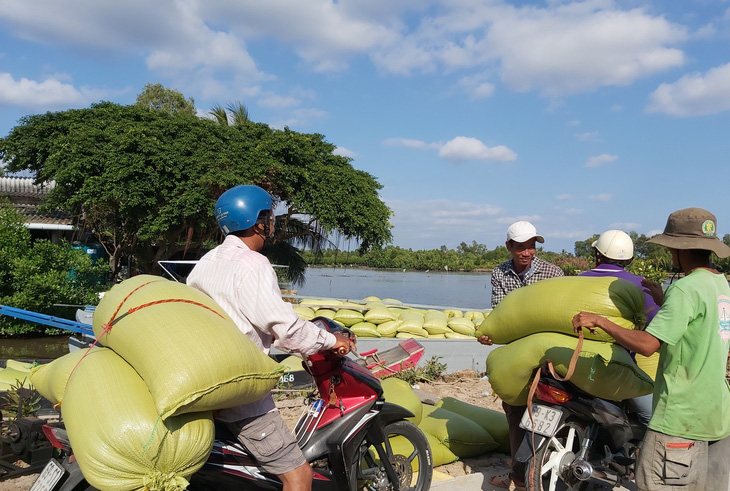 Cà Mau mời các nhà khoa học giúp khắc phục thiệt hại do hạn mặn - Ảnh 1.