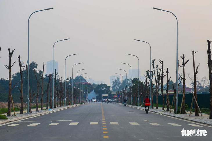 Hàng trăm cây sấu chết khô thảm thương trên đường mới mở ở Hà Nội - Ảnh 1.