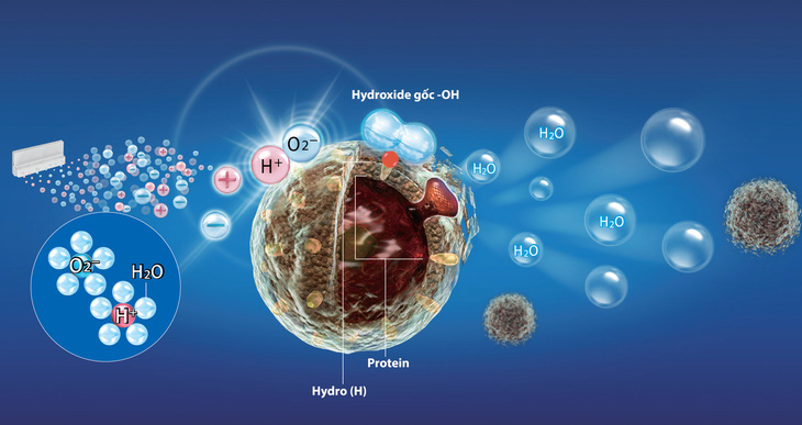 Công nghệ Plasmacluster ion - dũng sĩ diệt virut - Ảnh 2.