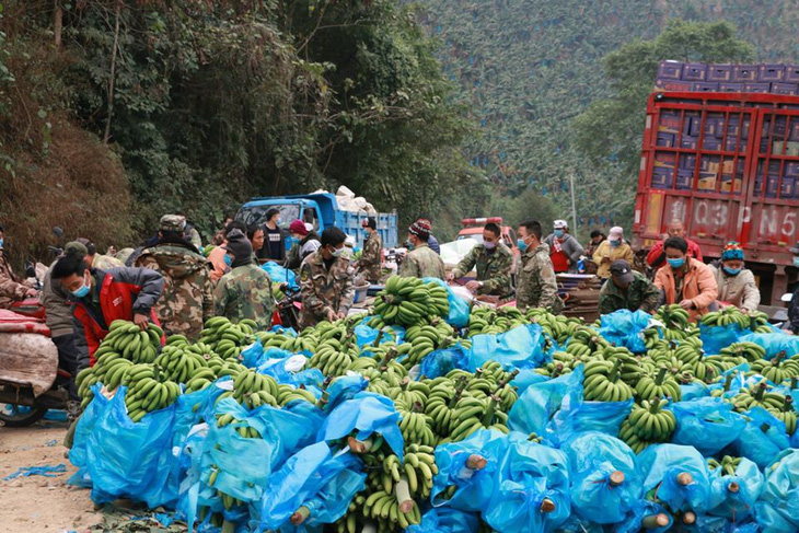 Dân làng gom 22 tấn chuối gửi đến tâm dịch Vũ Hán - Ảnh 2.