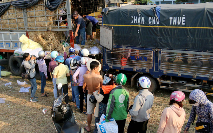 Ngân hàng giảm lãi suất, đồng loạt 'giải cứu' dưa hấu, thanh long