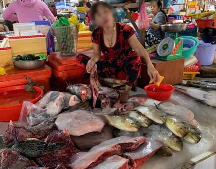 Rùa biển quý hiếm bị xẻ thịt bán ở chợ Hà Tiên? - Ảnh 1.