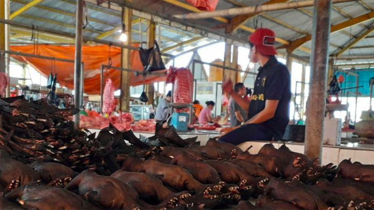 Indonesia cấm nhập khẩu động vật sống từ Trung Quốc - Ảnh 1.