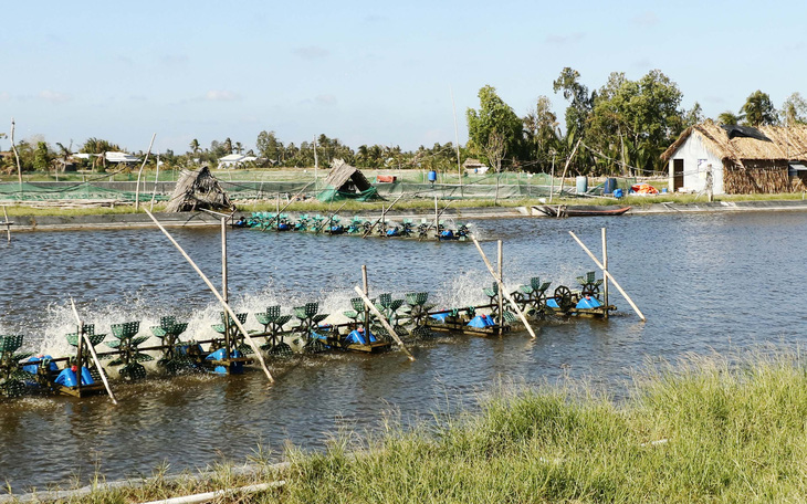 Làng thuận thiên không sợ mặn - Ảnh 1.