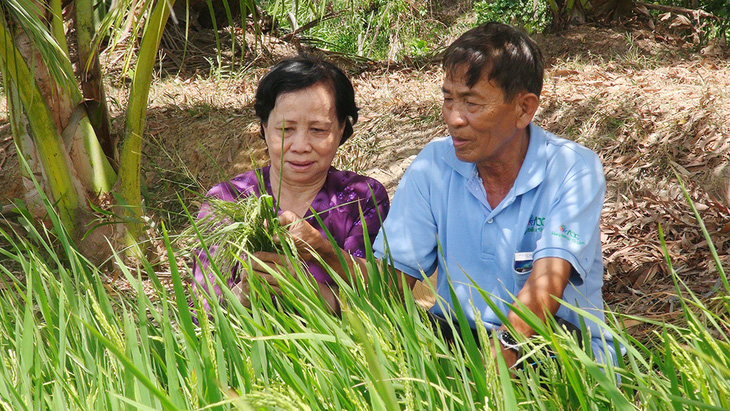 Con cái hòa thuận,  cha mẹ ngủ rất ngon - Ảnh 1.