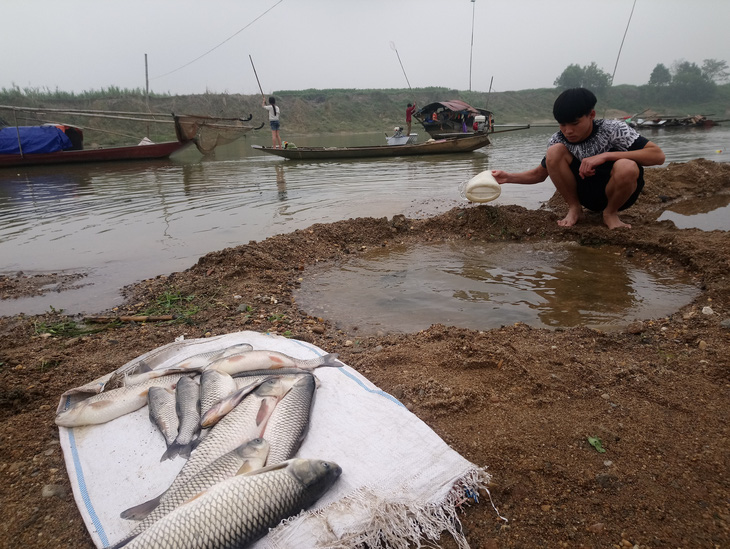 Cá chết hàng loạt trên sông Chu - Ảnh 3.