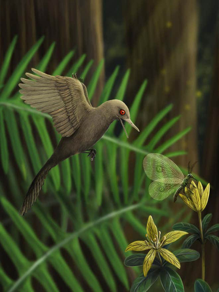 Loài khủng long chỉ bằng con chim ruồi, nhỏ nhất thế giới - Ảnh 1.