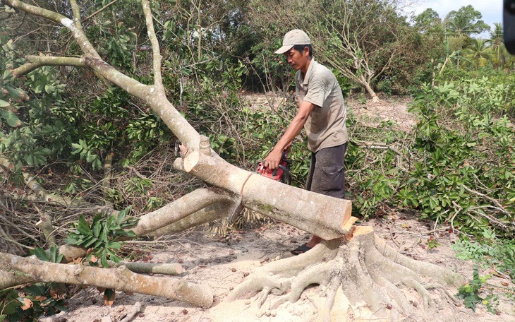 Miền Tây bớt mặn, cần tranh thủ tích nước - Ảnh 1.