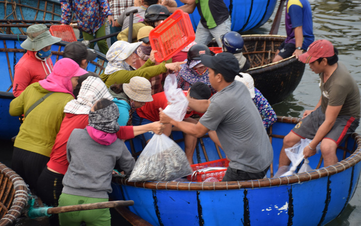 Tàu cập bến, ngư dân Quảng Nam phấn khởi bởi trúng mùa cá cơm