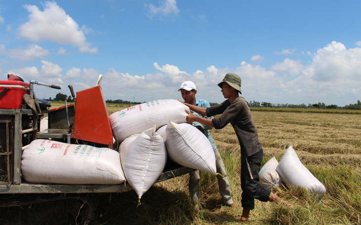 Giữ nguyên đề xuất xuất khẩu 400.000 tấn gạo trong tháng 4