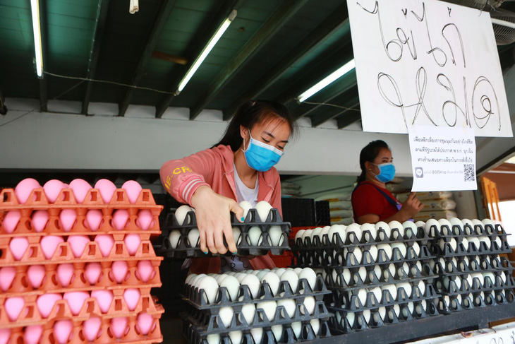 Sợ dịch COVID-19, dân Thái đi gom trữ trứng gà - Ảnh 1.