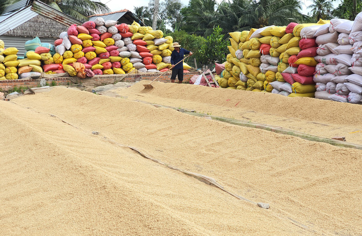 Chính phủ cho phép xuất khẩu 3 triệu tấn gạo thì vẫn ổn - Ảnh 3.