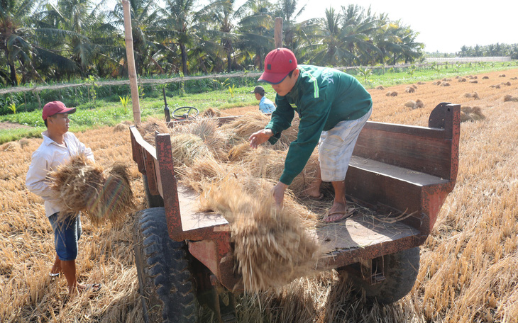 Miền Nam sắp vào đợt triều, hạn mặn tăng mạnh chưa có dấu hiệu dừng