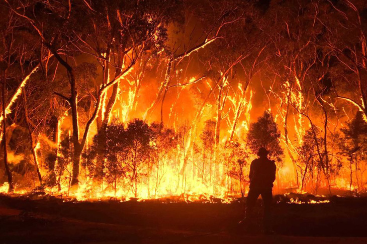 Australia phát triển vệ tinh dự báo cháy rừng - Ảnh 1.