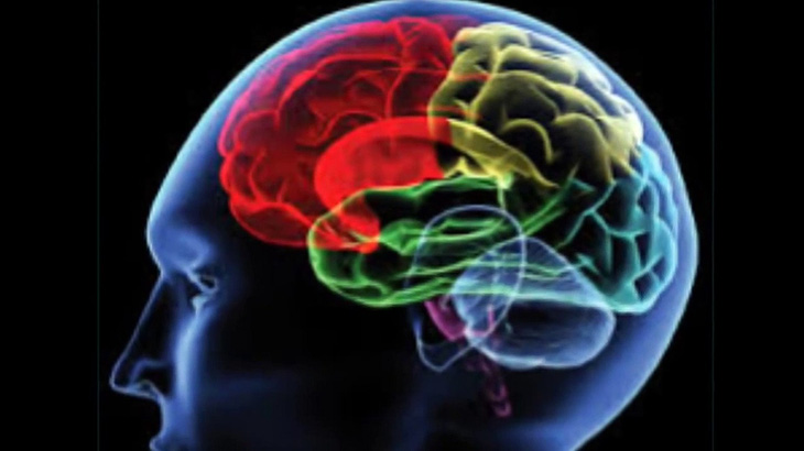 Phương pháp mới khơi gợi trí nhớ trong điều trị người bị tổn thương não bộ - Ảnh 1.