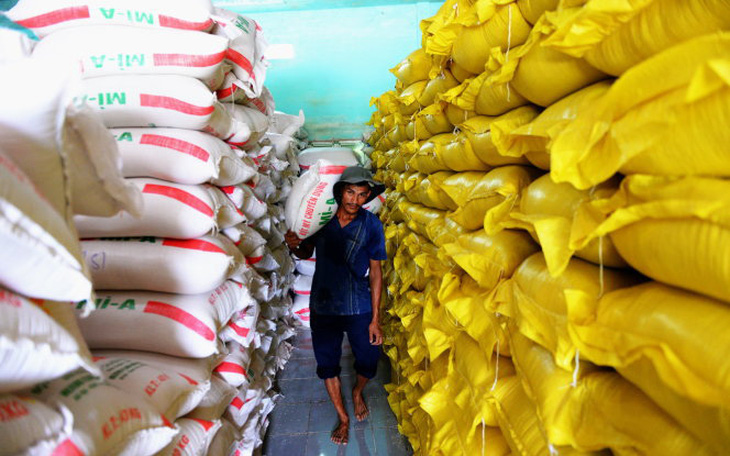 Điều tra vụ 7 cục dự trữ cho gửi gạo vào kho nhà nước