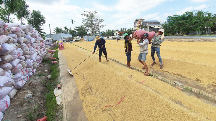 Tạm ứng hạn ngạch 100.000 tấn gạo để gỡ khó cho doanh nghiệp xuất khẩu - Ảnh 2.