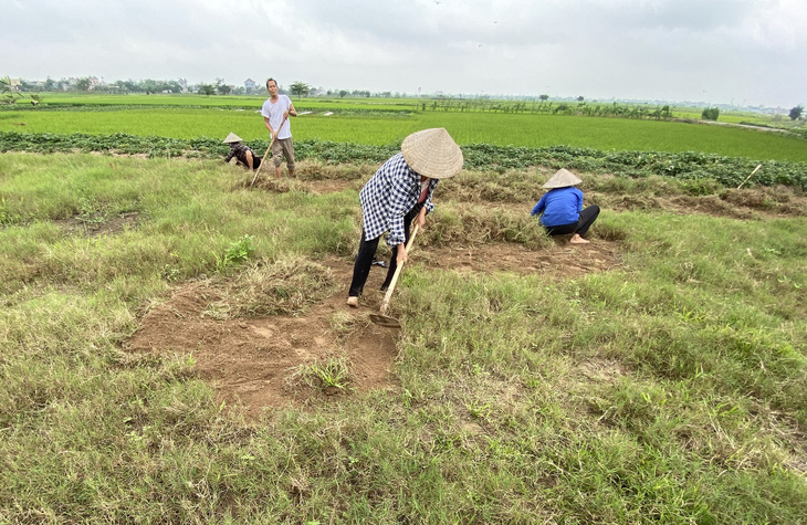 Vụ đại gia Đường Nhuệ: Đấu giá đất có mấy người xăm trổ - Ảnh 1.