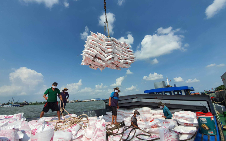 Tạm ứng hạn ngạch 100.000 tấn gạo để gỡ khó cho doanh nghiệp xuất khẩu - Ảnh 3.