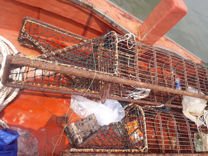 Bắt vụ khai thác 1,2 tấn hải sản nguy cấp, quý, hiếm ở Côn Đảo - Ảnh 3.