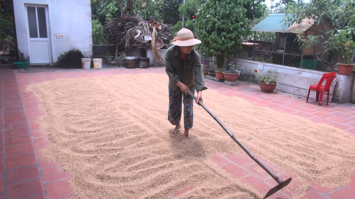 Một huyện có 2.400 người tự nguyện không nhận tiền hỗ trợ do dịch COVID-19 - Ảnh 1.