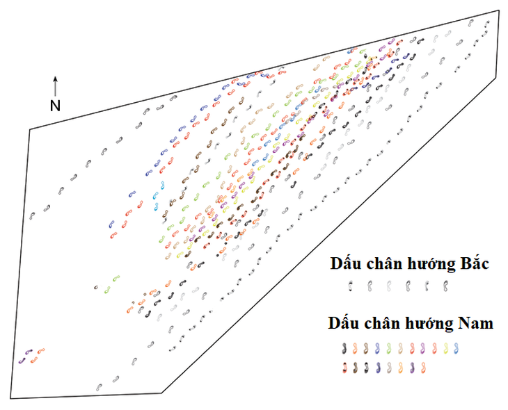 Phát hiện nơi có nhiều dấu chân người tiền sử nhất châu Phi - Ảnh 2.